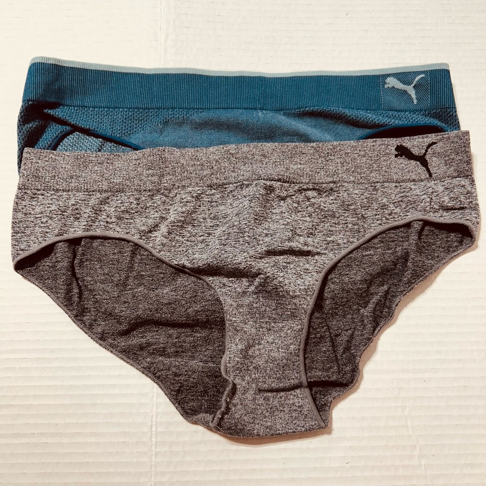 Puma Teal and Charcoal Women's Briefs